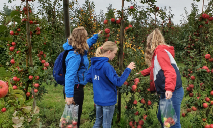 Afbeelding Kinderen