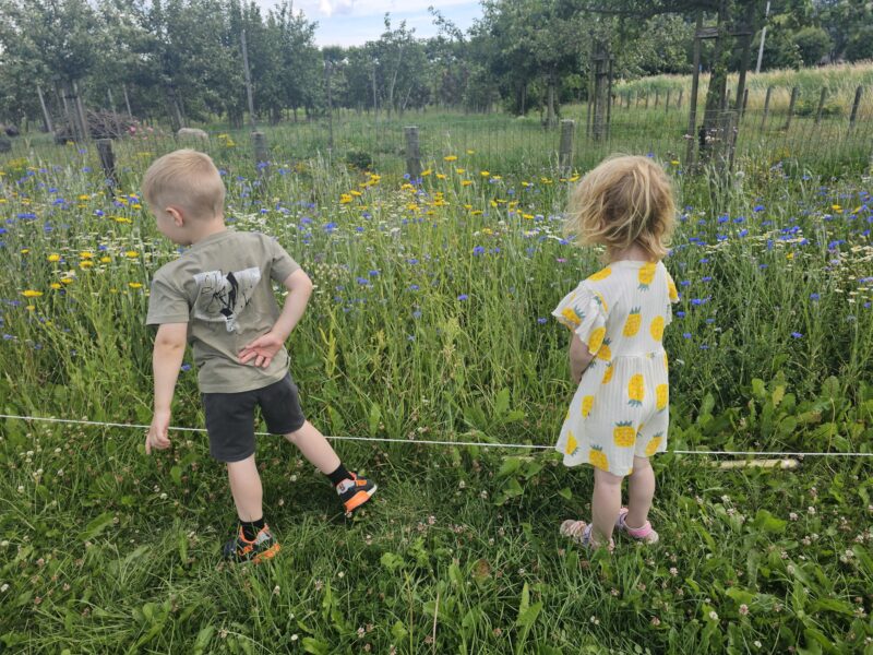 20250704_133710_resized